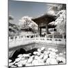 China 10MKm2 Collection - Another Look - Lotus Temple-Philippe Hugonnard-Mounted Photographic Print
