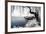 China 10MKm2 Collection - Another Look - Ride on the Lake-Philippe Hugonnard-Framed Photographic Print