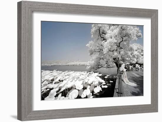 China 10MKm2 Collection - Another Look - Ride on the Lake-Philippe Hugonnard-Framed Photographic Print