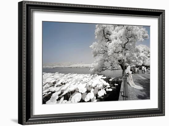China 10MKm2 Collection - Another Look - Ride on the Lake-Philippe Hugonnard-Framed Photographic Print