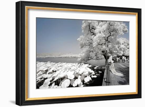 China 10MKm2 Collection - Another Look - Ride on the Lake-Philippe Hugonnard-Framed Photographic Print