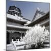 China 10MKm2 Collection - Another Look - Summer Palace-Philippe Hugonnard-Mounted Photographic Print