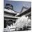 China 10MKm2 Collection - Another Look - Summer Palace-Philippe Hugonnard-Mounted Photographic Print