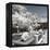 China 10MKm2 Collection - Another Look - Summer Palace-Philippe Hugonnard-Framed Premier Image Canvas