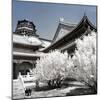 China 10MKm2 Collection - Another Look - Summer Palace-Philippe Hugonnard-Mounted Photographic Print