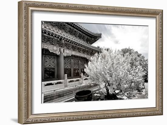 China 10MKm2 Collection - Another Look - Summer Palace-Philippe Hugonnard-Framed Photographic Print