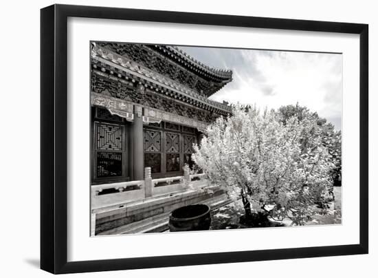 China 10MKm2 Collection - Another Look - Summer Palace-Philippe Hugonnard-Framed Photographic Print