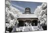 China 10MKm2 Collection - Another Look - Summer Palace-Philippe Hugonnard-Mounted Photographic Print