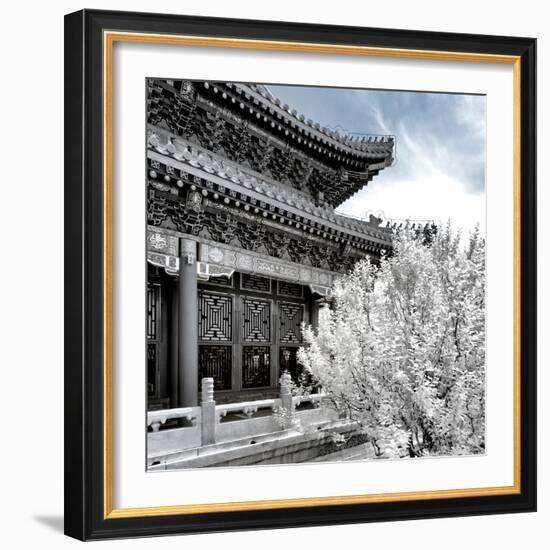 China 10MKm2 Collection - Another Look - Summer Palace-Philippe Hugonnard-Framed Photographic Print