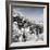 China 10MKm2 Collection - Another Look - Summer Palace-Philippe Hugonnard-Framed Photographic Print