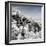 China 10MKm2 Collection - Another Look - Summer Palace-Philippe Hugonnard-Framed Photographic Print