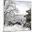 China 10MKm2 Collection - Another Look - Summer Palace-Philippe Hugonnard-Mounted Photographic Print