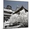 China 10MKm2 Collection - Another Look - Summer Palace-Philippe Hugonnard-Mounted Photographic Print