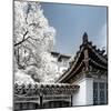 China 10MKm2 Collection - Another Look - Summer Palace-Philippe Hugonnard-Mounted Photographic Print