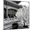 China 10MKm2 Collection - Another Look - Summer Palace-Philippe Hugonnard-Mounted Photographic Print