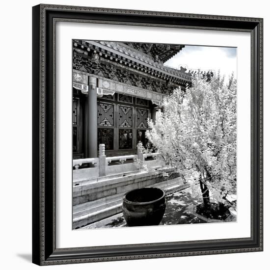 China 10MKm2 Collection - Another Look - Summer Palace-Philippe Hugonnard-Framed Photographic Print