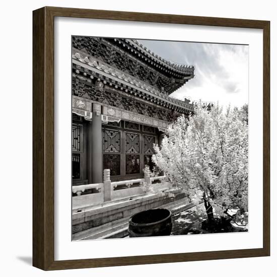 China 10MKm2 Collection - Another Look - Summer Palace-Philippe Hugonnard-Framed Photographic Print