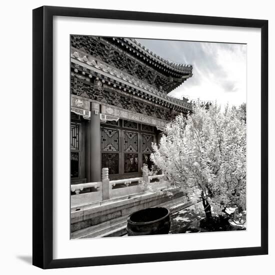 China 10MKm2 Collection - Another Look - Summer Palace-Philippe Hugonnard-Framed Photographic Print