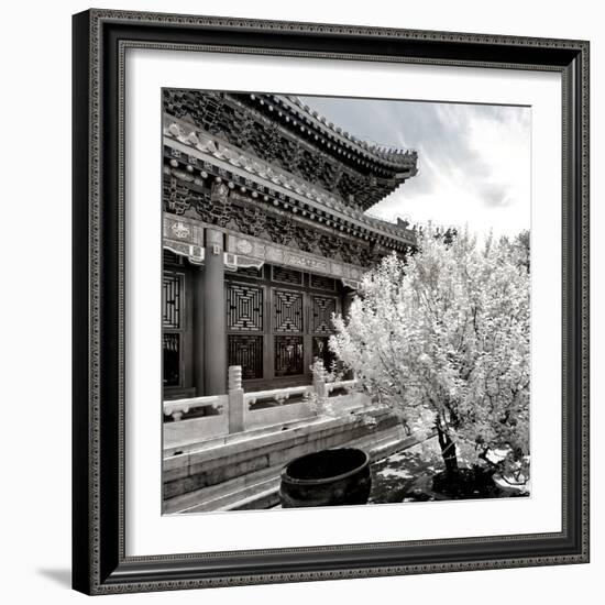 China 10MKm2 Collection - Another Look - Summer Palace-Philippe Hugonnard-Framed Photographic Print