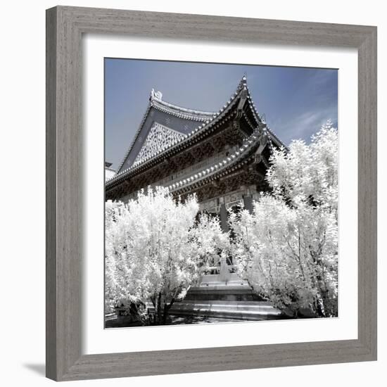 China 10MKm2 Collection - Another Look - Summer Palace-Philippe Hugonnard-Framed Photographic Print