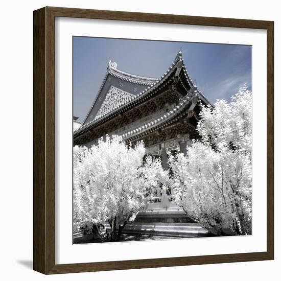 China 10MKm2 Collection - Another Look - Summer Palace-Philippe Hugonnard-Framed Photographic Print