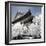 China 10MKm2 Collection - Another Look - Summer Palace-Philippe Hugonnard-Framed Photographic Print