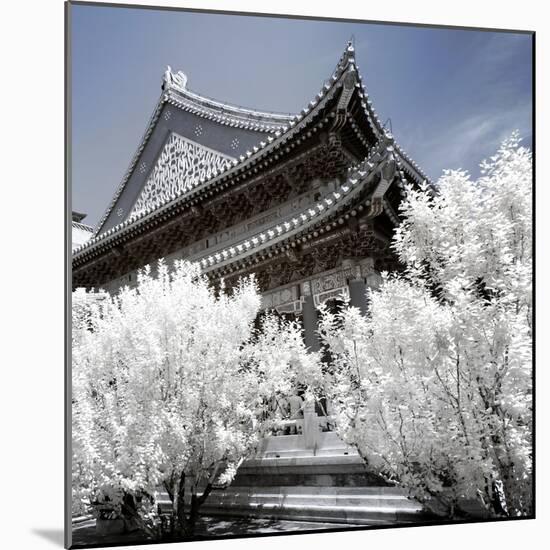 China 10MKm2 Collection - Another Look - Summer Palace-Philippe Hugonnard-Mounted Photographic Print