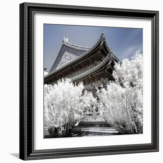 China 10MKm2 Collection - Another Look - Summer Palace-Philippe Hugonnard-Framed Photographic Print