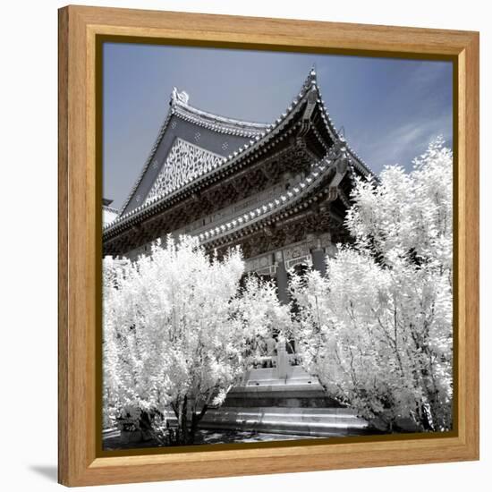 China 10MKm2 Collection - Another Look - Summer Palace-Philippe Hugonnard-Framed Premier Image Canvas