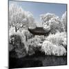 China 10MKm2 Collection - Another Look - Temple Park-Philippe Hugonnard-Mounted Photographic Print