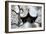 China 10MKm2 Collection - Another Look - Temple-Philippe Hugonnard-Framed Photographic Print