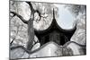 China 10MKm2 Collection - Another Look - Temple-Philippe Hugonnard-Mounted Photographic Print