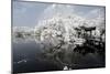China 10MKm2 Collection - Another Look - View of the Temple-Philippe Hugonnard-Mounted Photographic Print