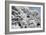 China 10MKm2 Collection - Another Look - White Forest-Philippe Hugonnard-Framed Photographic Print