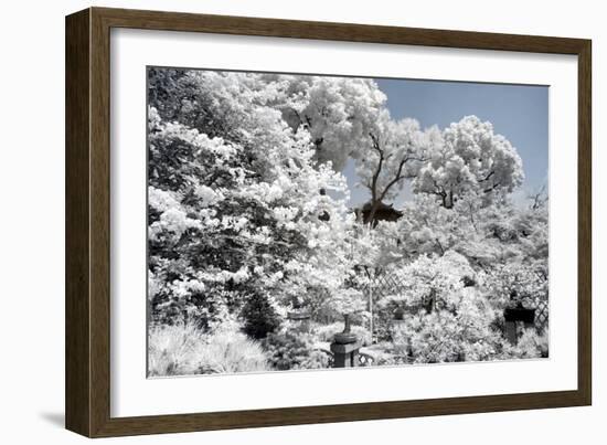 China 10MKm2 Collection - Another Look - White Forest-Philippe Hugonnard-Framed Photographic Print