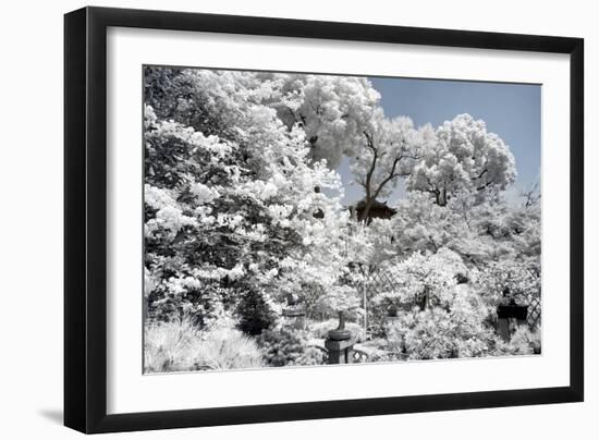 China 10MKm2 Collection - Another Look - White Forest-Philippe Hugonnard-Framed Photographic Print