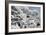 China 10MKm2 Collection - Another Look - White Forest-Philippe Hugonnard-Framed Photographic Print