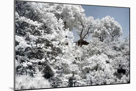 China 10MKm2 Collection - Another Look - White Forest-Philippe Hugonnard-Mounted Photographic Print