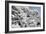 China 10MKm2 Collection - Another Look - White Forest-Philippe Hugonnard-Framed Photographic Print