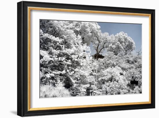 China 10MKm2 Collection - Another Look - White Forest-Philippe Hugonnard-Framed Photographic Print