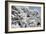 China 10MKm2 Collection - Another Look - White Forest-Philippe Hugonnard-Framed Photographic Print