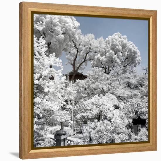 China 10MKm2 Collection - Another Look - White Forest-Philippe Hugonnard-Framed Premier Image Canvas