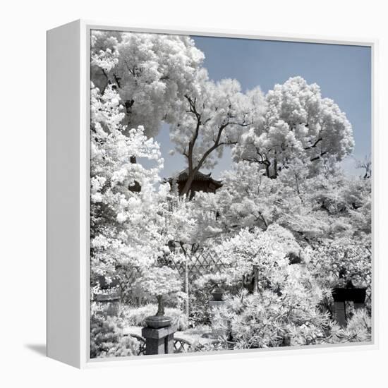 China 10MKm2 Collection - Another Look - White Forest-Philippe Hugonnard-Framed Premier Image Canvas