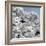 China 10MKm2 Collection - Another Look - White Forest-Philippe Hugonnard-Framed Photographic Print