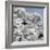 China 10MKm2 Collection - Another Look - White Forest-Philippe Hugonnard-Framed Photographic Print