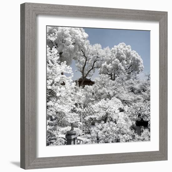 China 10MKm2 Collection - Another Look - White Forest-Philippe Hugonnard-Framed Photographic Print