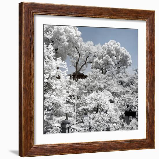 China 10MKm2 Collection - Another Look - White Forest-Philippe Hugonnard-Framed Photographic Print