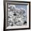 China 10MKm2 Collection - Another Look - White Forest-Philippe Hugonnard-Framed Photographic Print