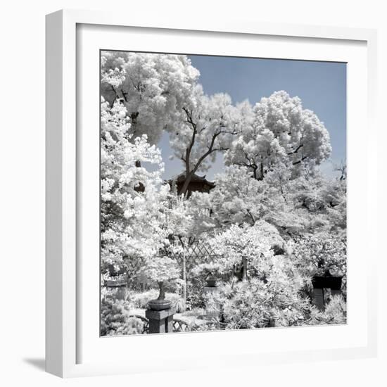 China 10MKm2 Collection - Another Look - White Forest-Philippe Hugonnard-Framed Photographic Print