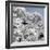 China 10MKm2 Collection - Another Look - White Forest-Philippe Hugonnard-Framed Photographic Print